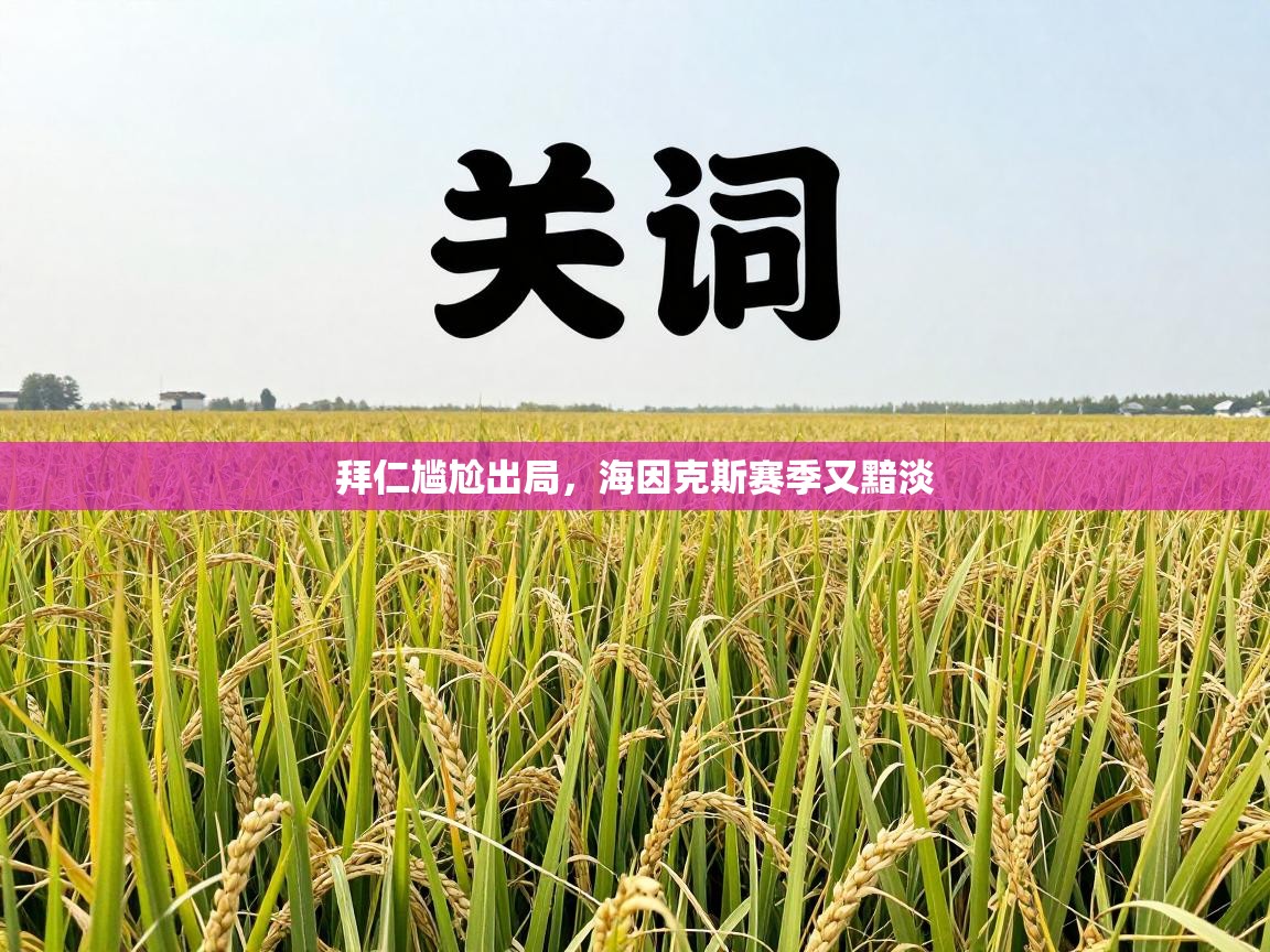 拜仁尴尬出局,海因克斯赛季又黯淡 第1张