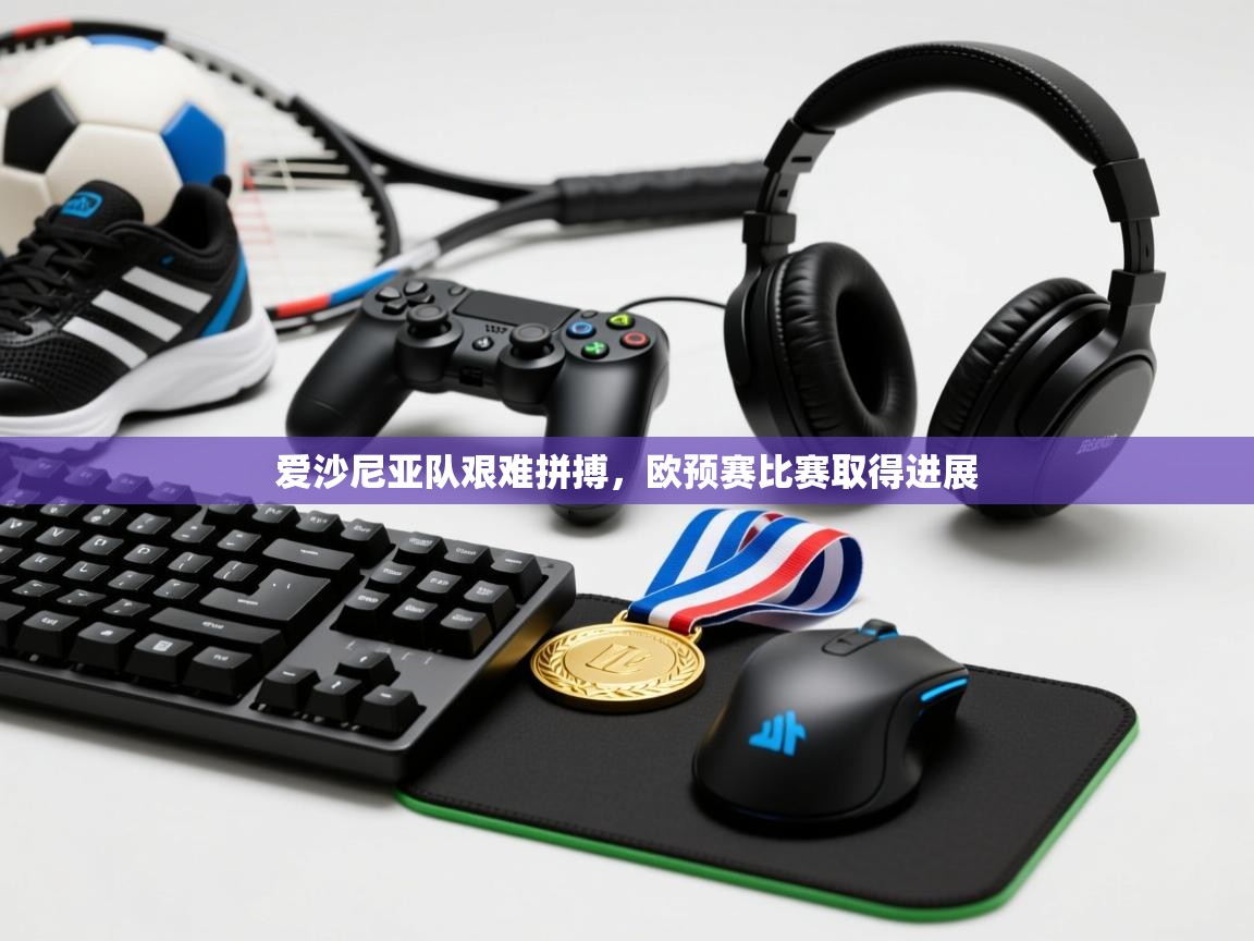 爱沙尼亚队艰难拼搏,欧预赛比赛取得进展 第1张