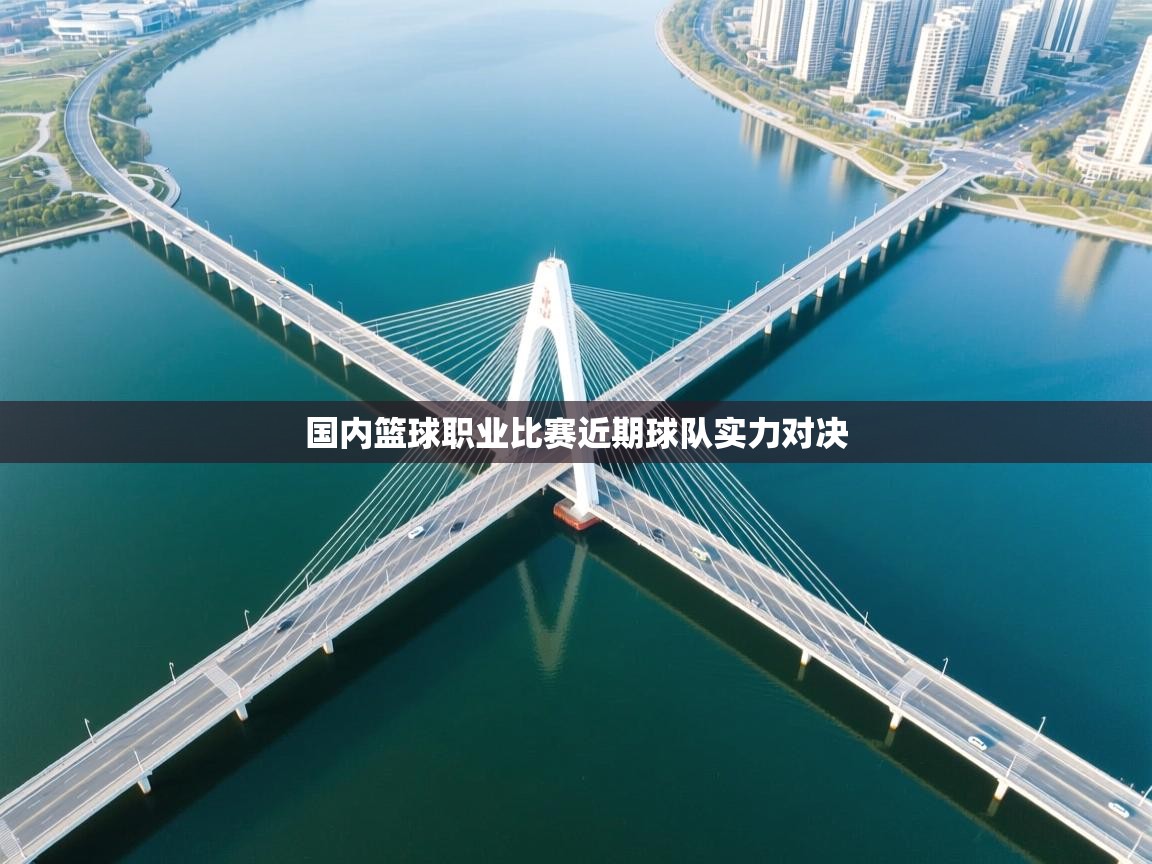 国内篮球职业比赛近期球队实力对决  第2张