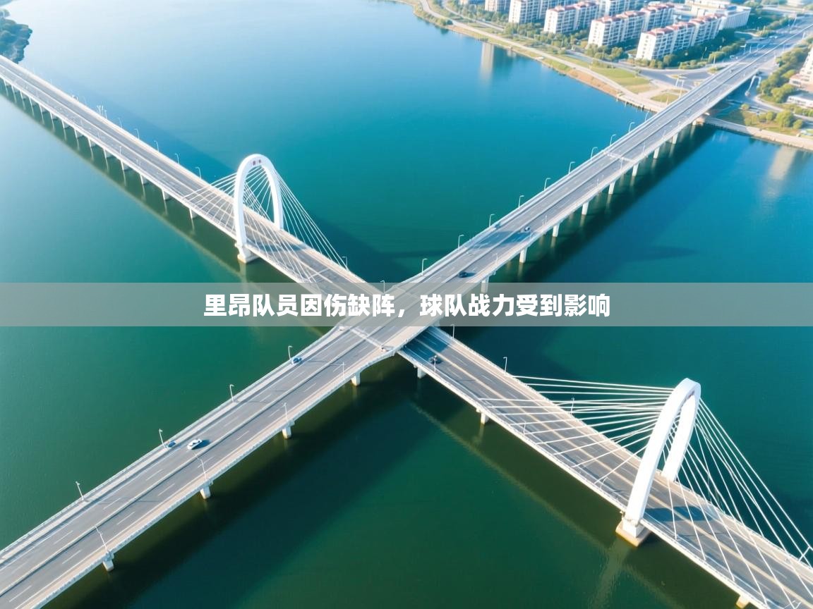 里昂队员因伤缺阵，球队战力受到影响  第1张