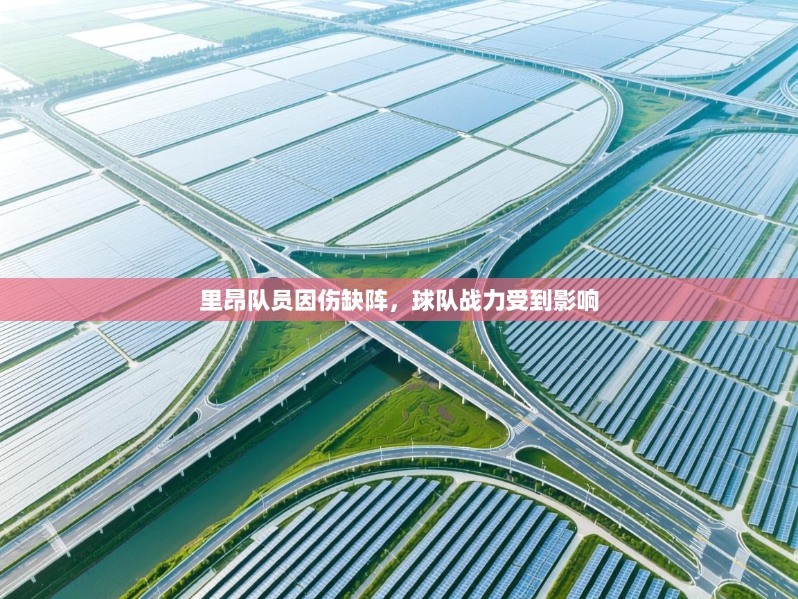 里昂队员因伤缺阵，球队战力受到影响  第2张